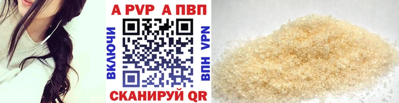 OMG ТОР Елизаветинская А ПВП СК