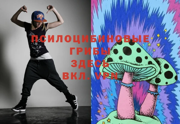 дживик Абаза
