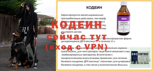 дживик Абинск