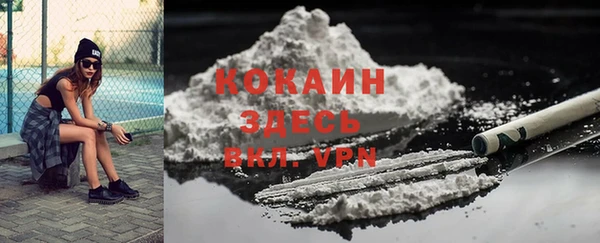 дживик Абинск